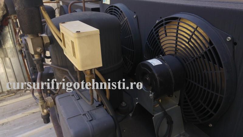 Prima zi de munca la Coinsfri (Custom).jpg