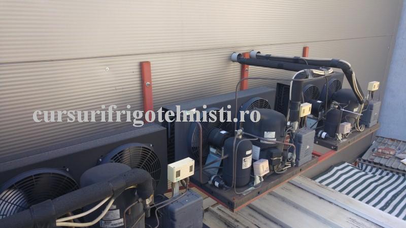 Prima zi de munca la Coinsfri 2 (Custom).jpg