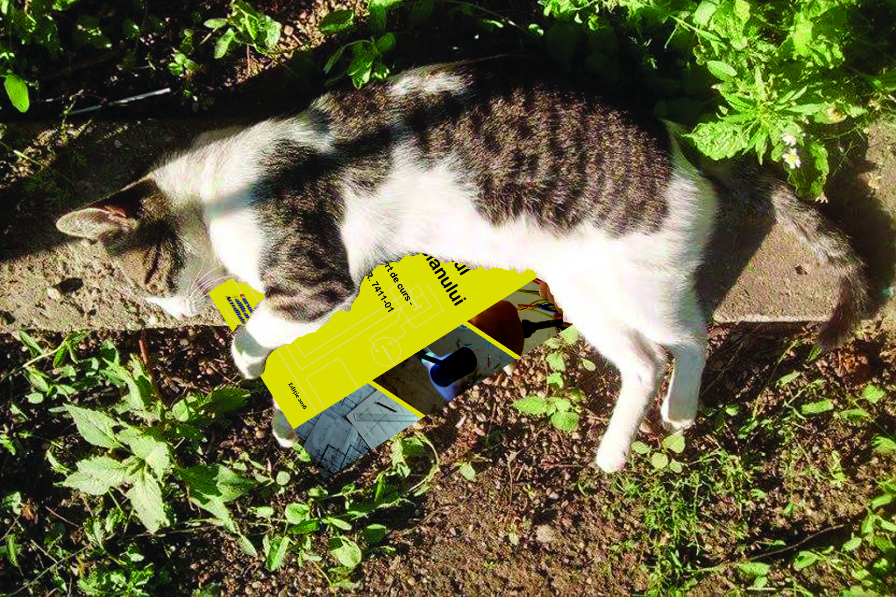 Un manual pe intelesul tuturor.jpg