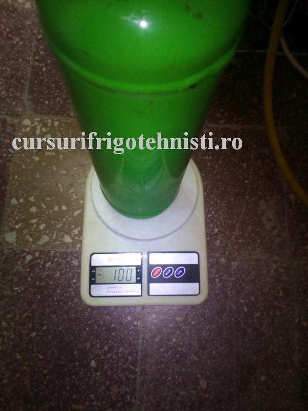 4 incarcare 100 gr.. (Custom).JPG