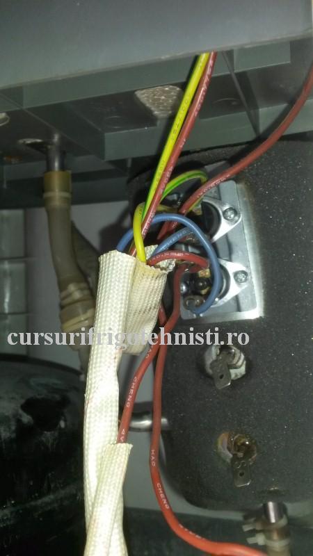 20161029_111702.. (Custom).JPG