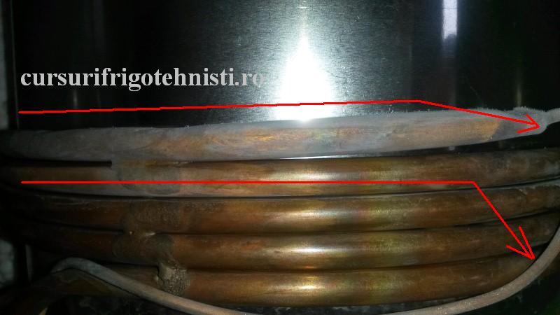 20161029_122030 (Custom) (2).jpg