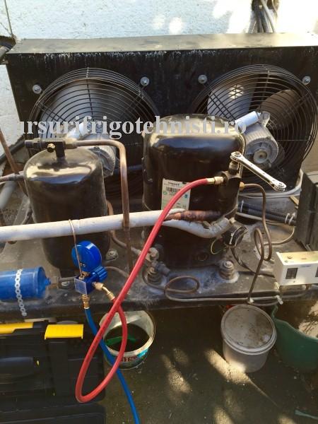 FullSizeRender_2. (Custom).JPG