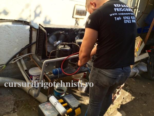 FullSizeRender_1. (Custom).JPG