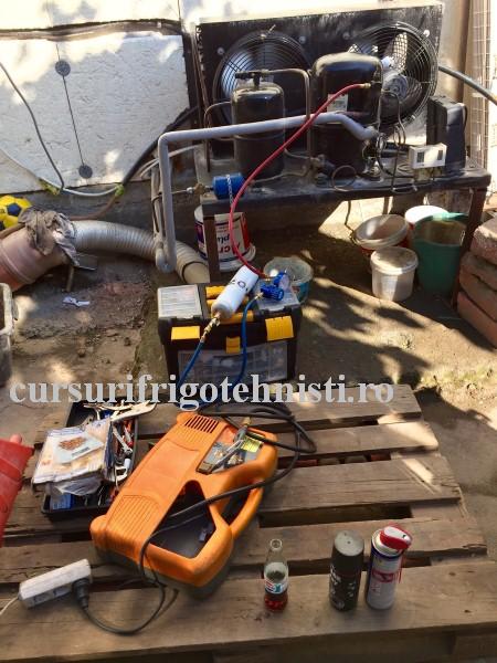 FullSizeRender. (Custom).JPG