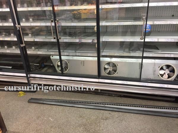 IMG_1432.. (Custom).JPG