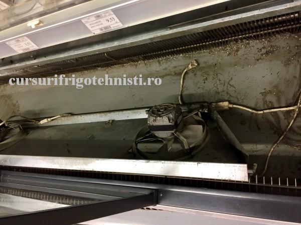 FullSizeRender_1.. (Custom).JPG