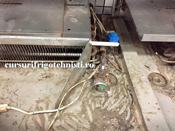 FullSizeRender.. (Custom).JPG