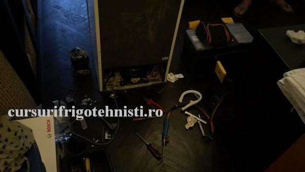 IMG_0450.. (Custom).JPG