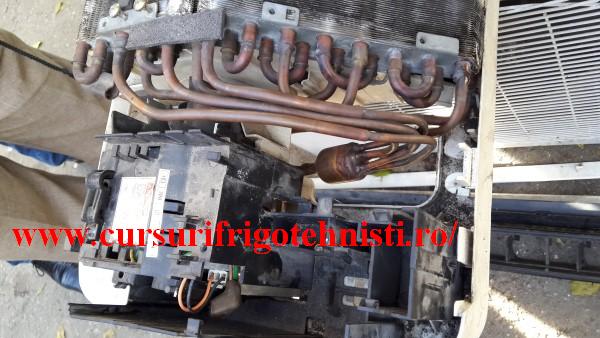 20161102_100907 (Custom).jpg