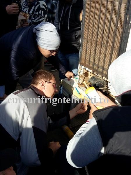 20161102_114805_1 (Custom).jpg