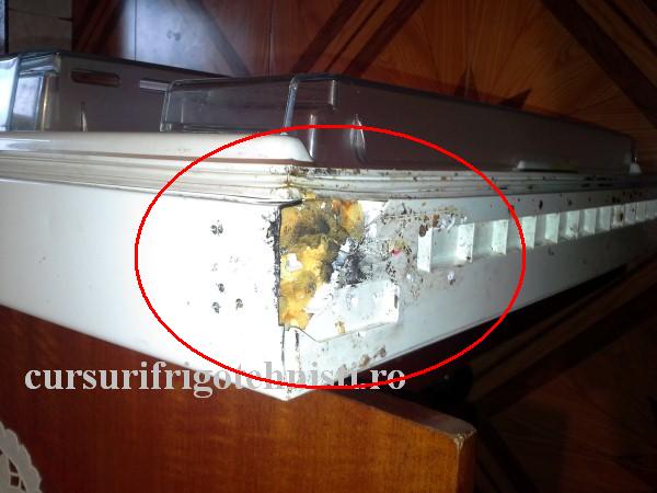 20161108_104739 (Custom).jpg