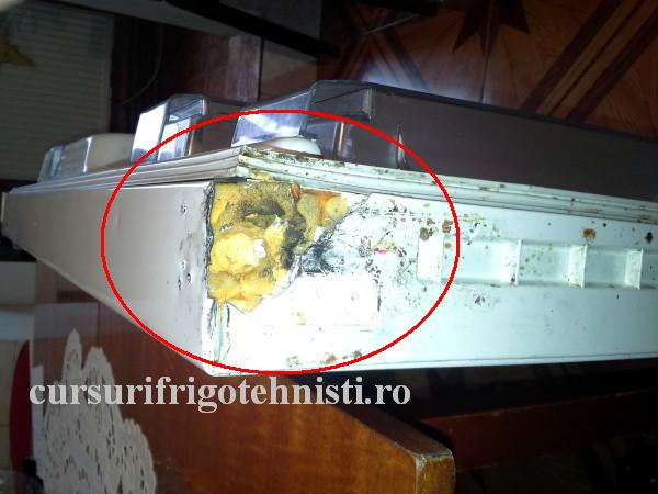 20161108_104751 (Custom).jpg