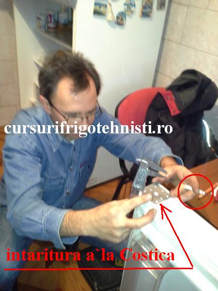 20161108_131225.. (Custom).JPG