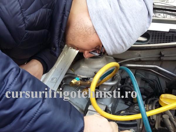 20161102_133530 (Custom) (2).jpg