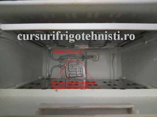 Daniel 1 (Custom).JPG