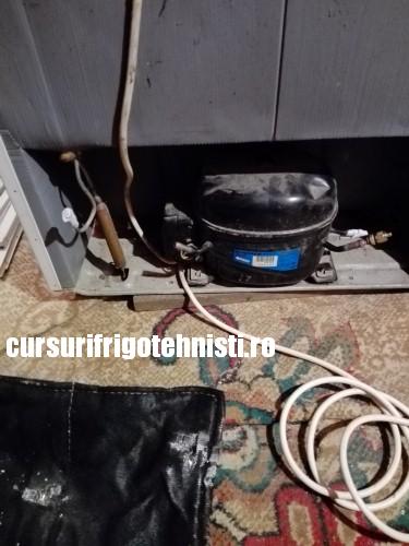 IMG_20161221_171702 (Custom).jpg