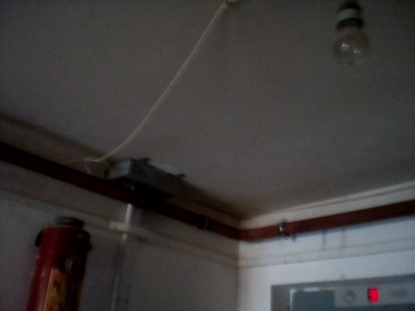 Electrica facuta de 2 betivi 2.jpg