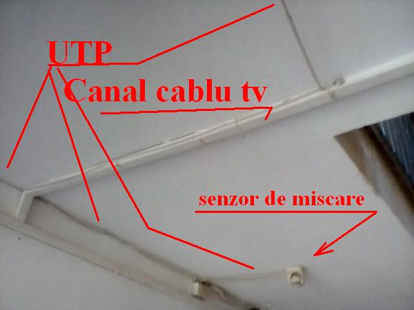 Electrica facuta de 2 betivi 4.jpg