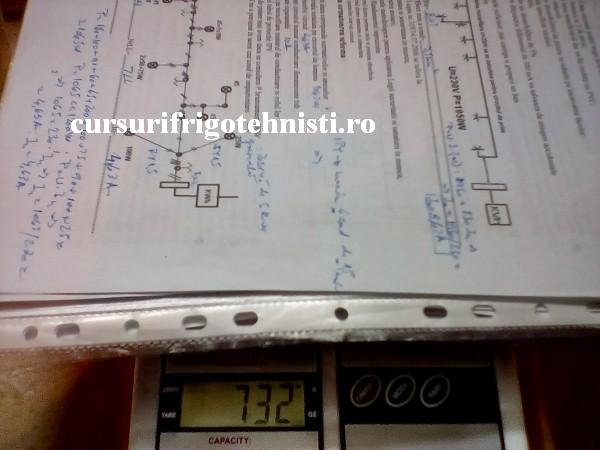 gr 7 grupa de martiri2 (Custom).jpg