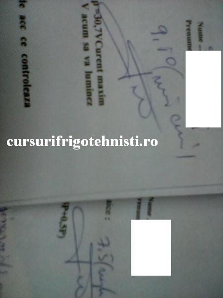 gr 7 grupa de martiri 5 (Custom).jpg