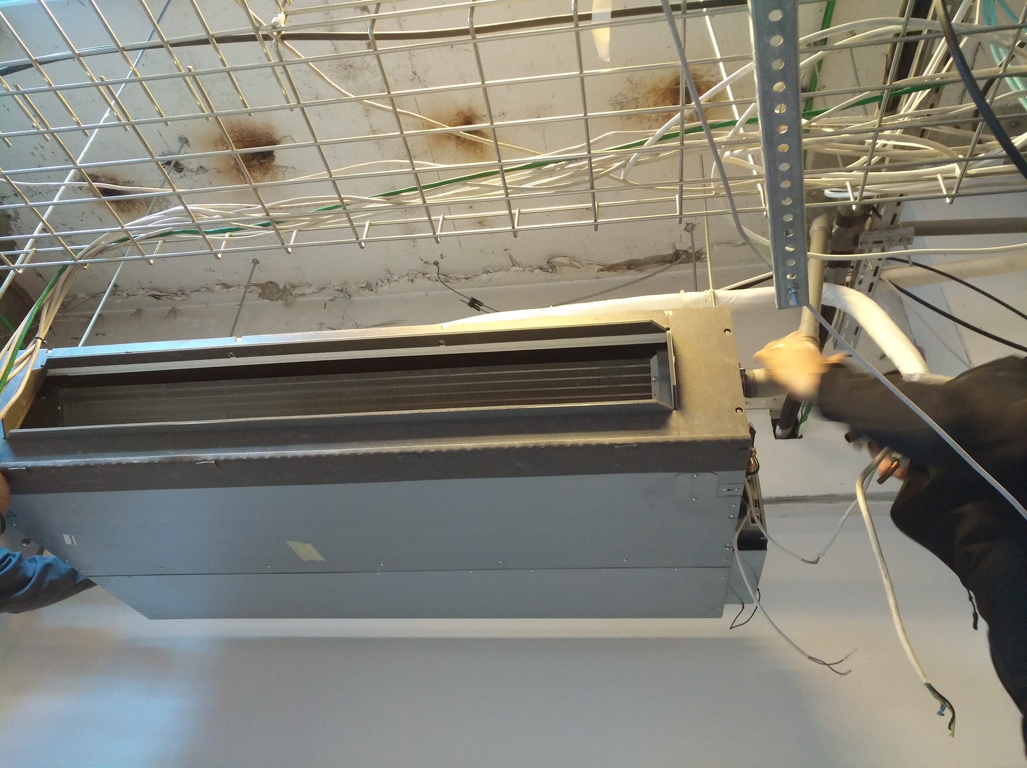 Alex frigotehnistul.jpg