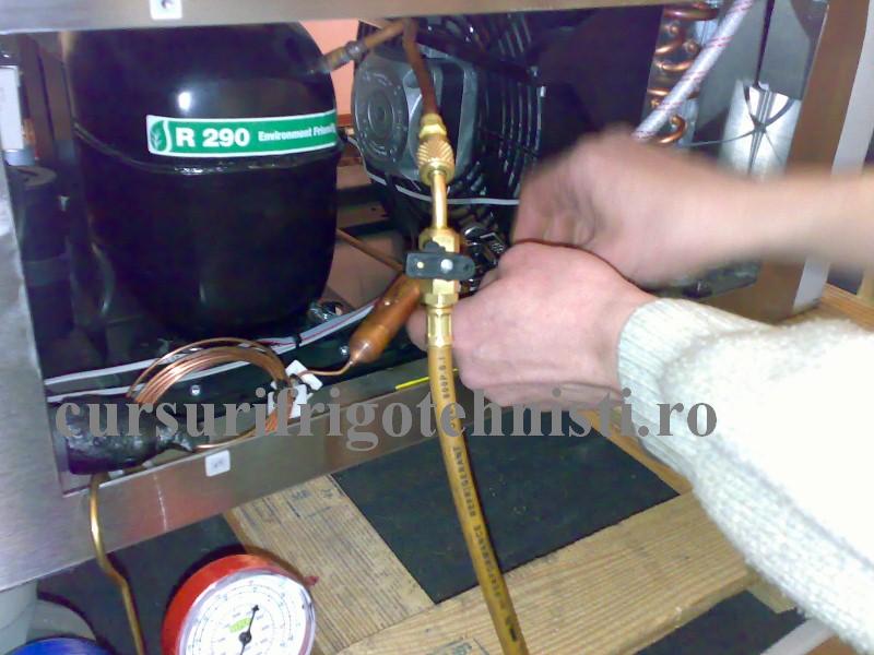 masina frigorifica funct cu R290 a.jpg