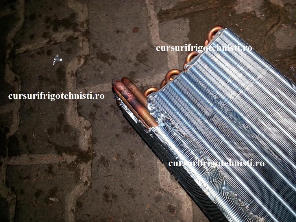 UI cu por.jpg