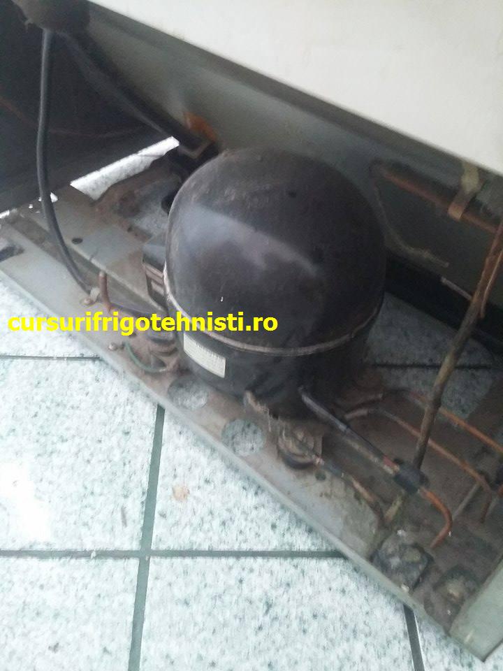 Compresorul inainte de recoltare.jpg