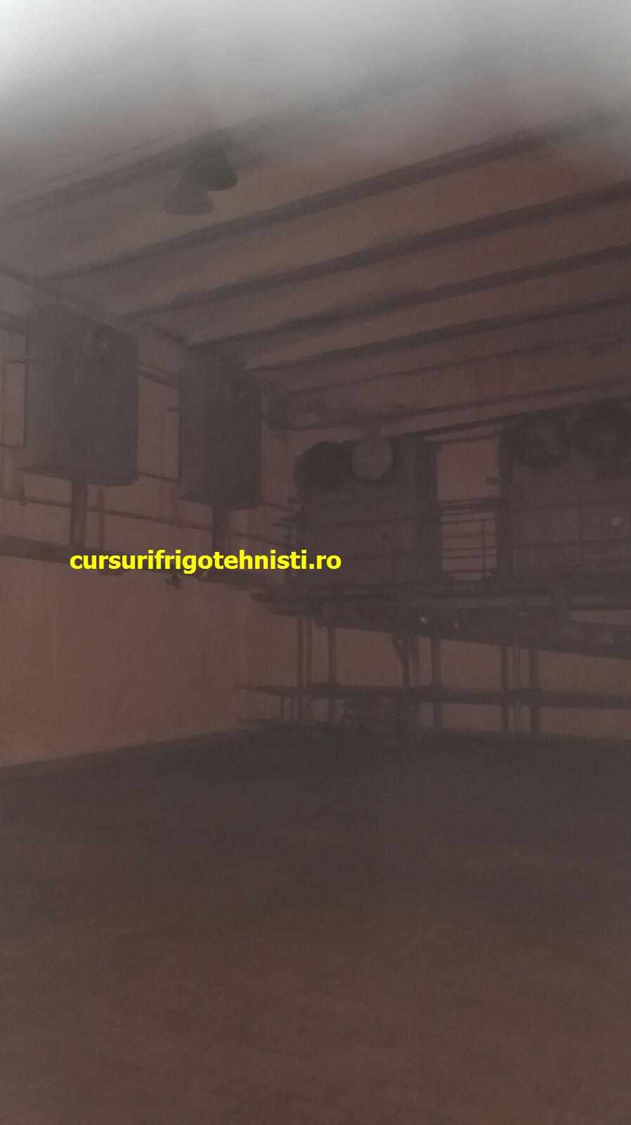 Hala de refigerare.jpg