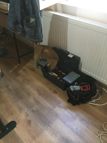 Toti invata meseria de electrician.JPG