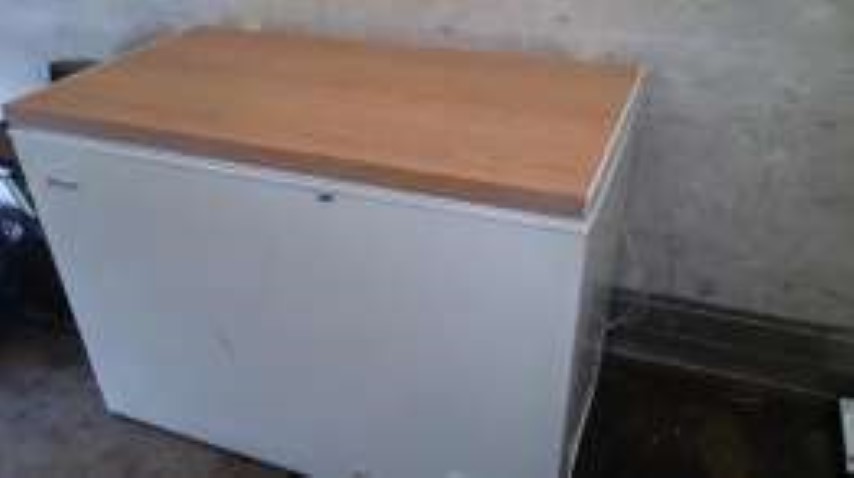 Lada frigorifica r600 (Small).jpg