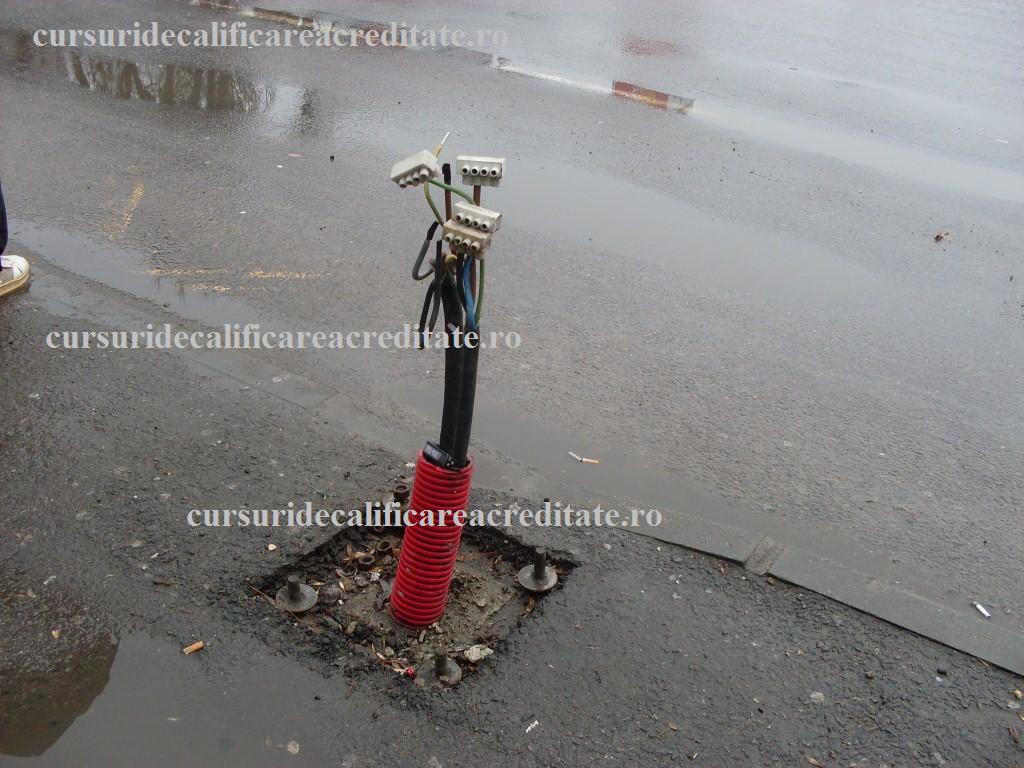 Lasat de 2 saptamani.JPG