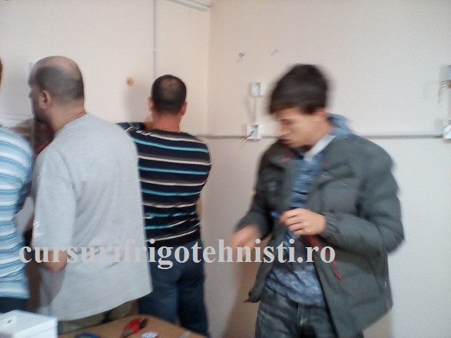 Alex seful de grupa invata sa izoleze legaturile in doze de trecere si ramificatie.jpg