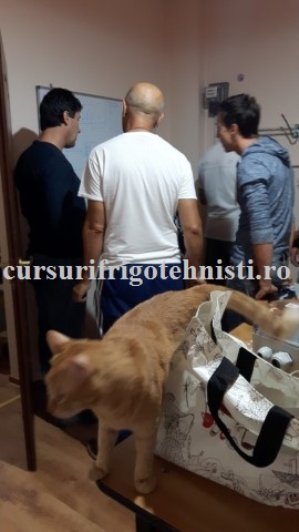 Poze practica electricieni 1.jpg