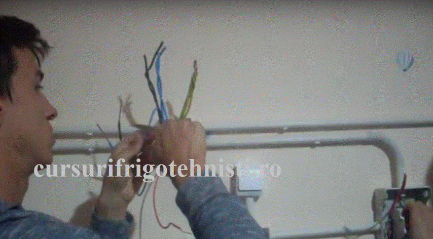 Am invatat sa dezizolam conductoare FY 1,5 si FY 2,5  si formam circuite inclus legaturi in doze.gif