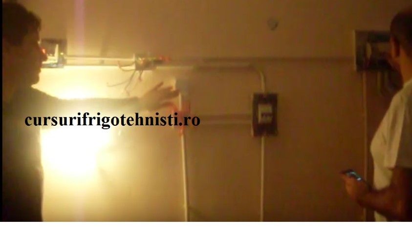 o prima lustra arinsa de noi ...jpg