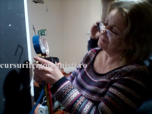 Elena citeste presiunea de vaporizare pe scala de R600A (Custom).jpg