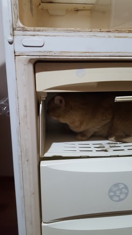 Lg no frost verificare congelator nu are scapari de freon 2 (Small).jpg