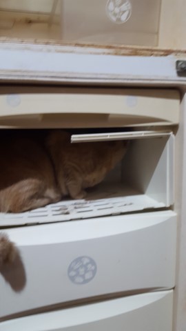 Lg no frost verificare congelator nu are scapari de freon (Small).jpg