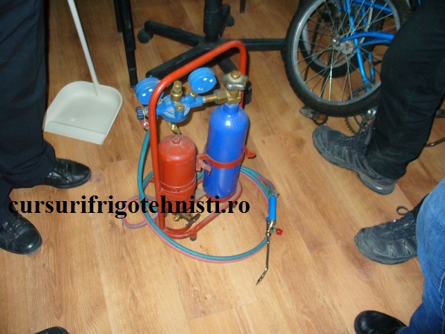 P1250565 (Small).JPG