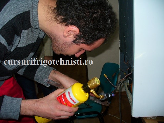 P1250639 (Small).JPG