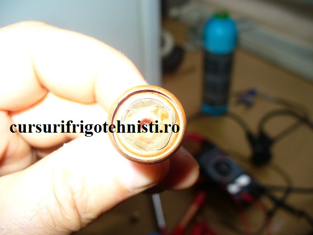 P1250638 (Small).JPG