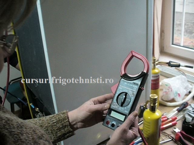 P1250588 (Small).JPG