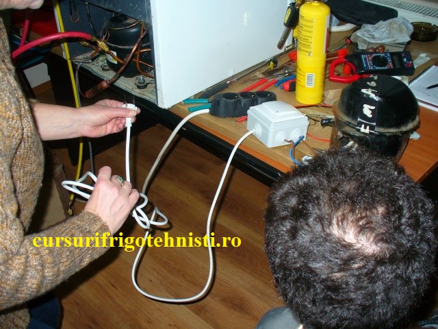 P1250590 (Small).JPG