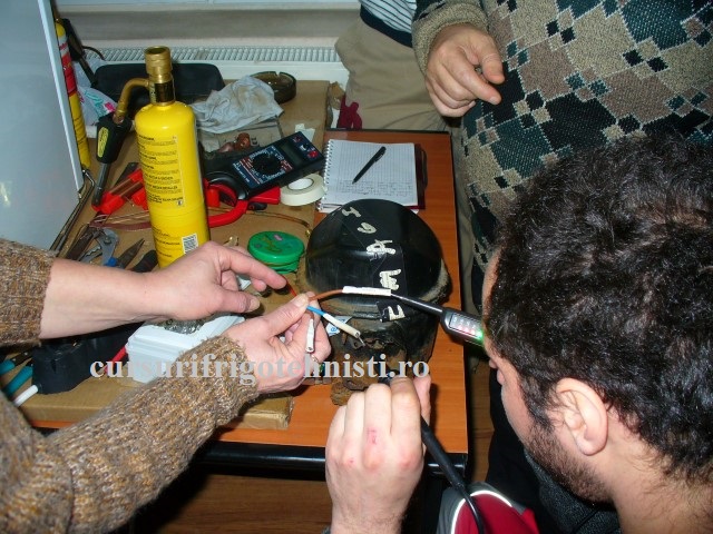 P1250591 (Small).JPG