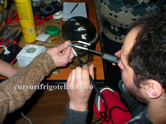 P1250592 (Small).JPG