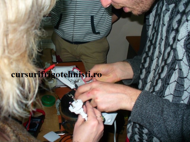 P1250596 (Small).JPG