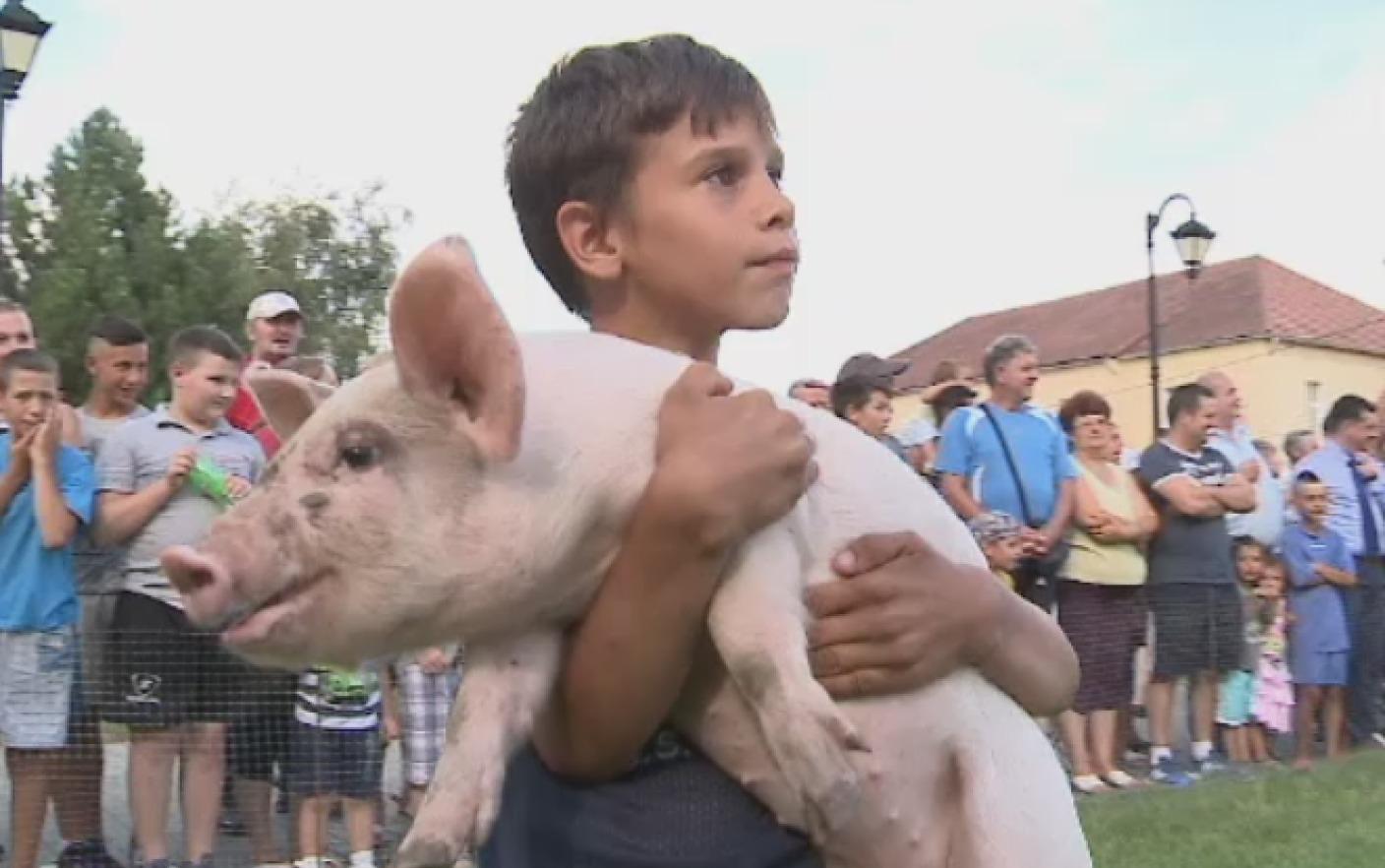 atat avea pe viata lui un amarat de purcel si il vindea sa cumpere medicamente si sa plateasca curentul electric .jpg