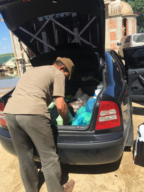 Doamna Iuliana descarcare alimente la aia mici %28Small%29.JPG